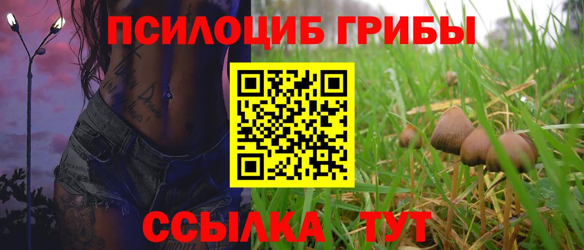 Югорск  Псилоцибиновые грибы мицелий  Псилоцибиновые грибы Psilocybe  Вход с VPN 